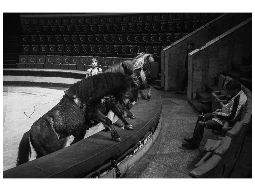 Cage. Misha Domozhilov photographer