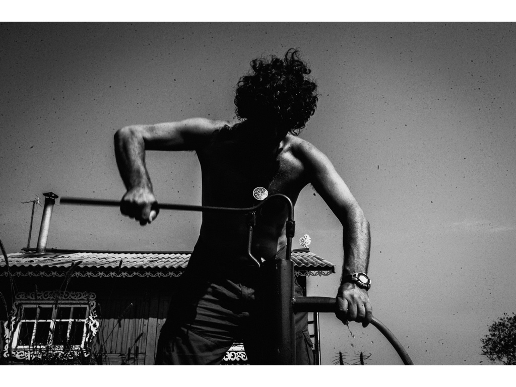 Bird Story. Misha Domozhilov photographer