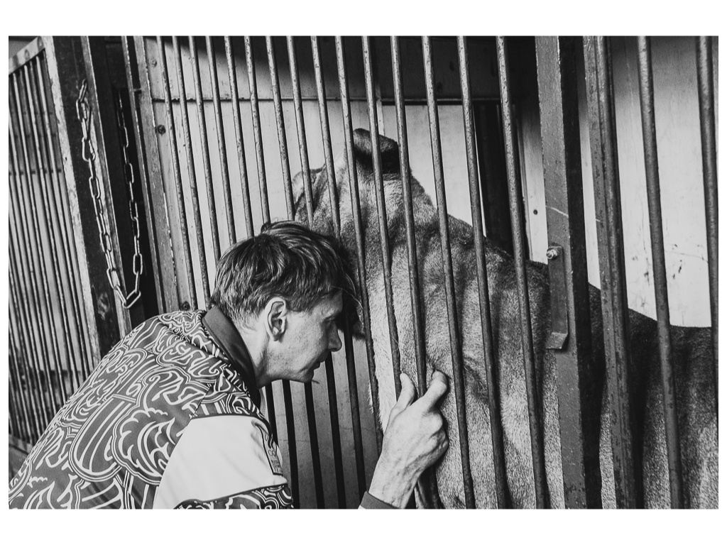 Cage. Misha Domozhilov photographer