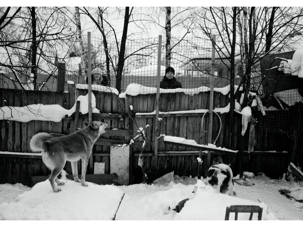 Ark. Misha Domozhilov photographer