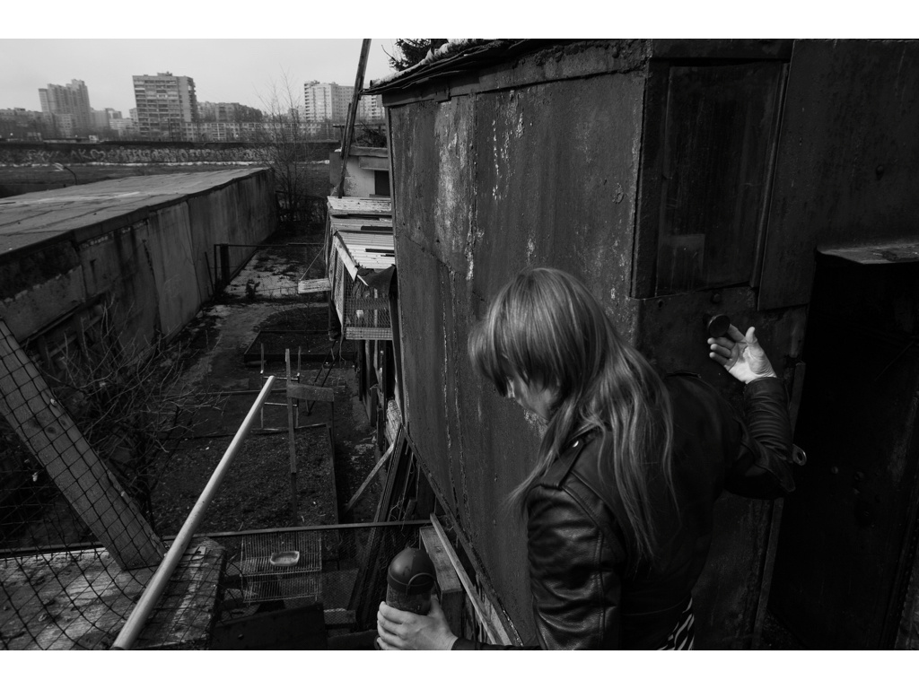 Bird Story. Misha Domozhilov photographer