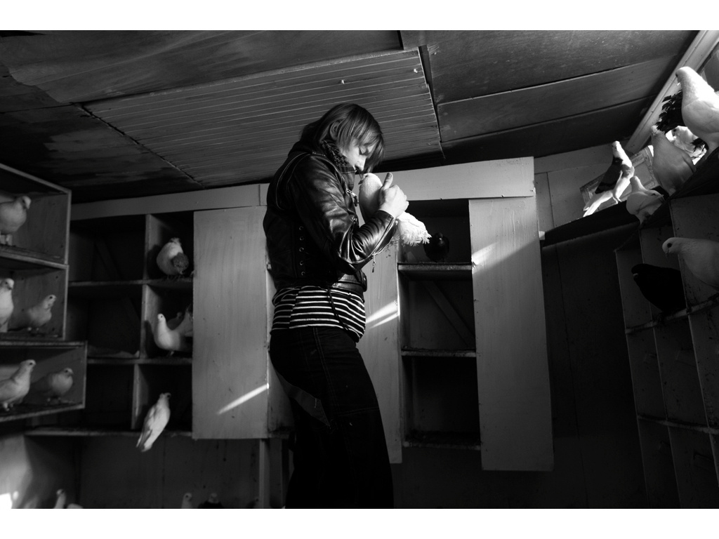 Bird Story. Misha Domozhilov photographer