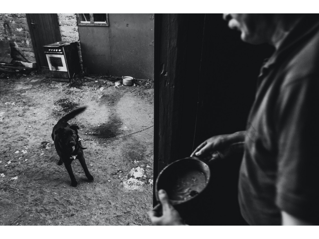 Cremlin Stars. Misha Domozhilov photographer