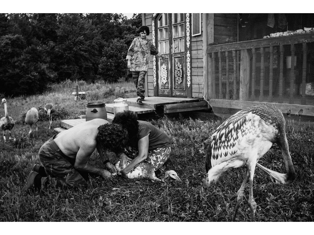 Bird Story. Misha Domozhilov photographer