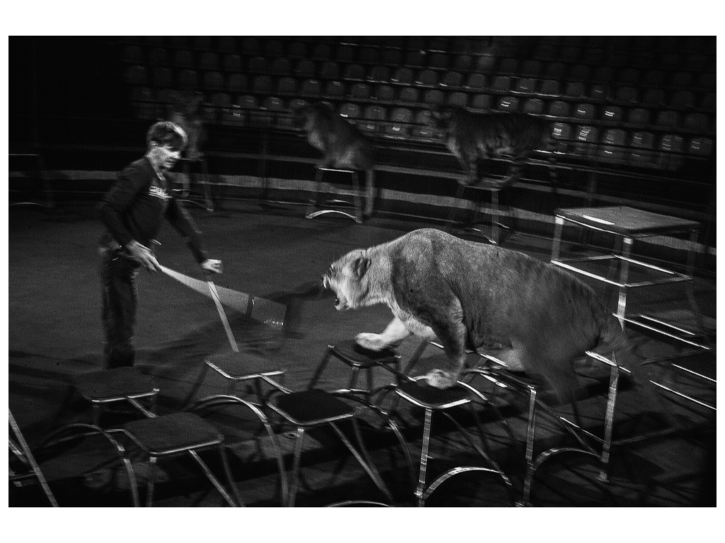 Cage. Misha Domozhilov photographer