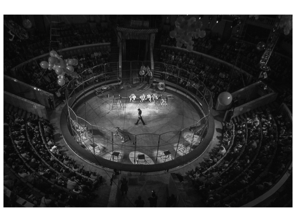 Cage. Misha Domozhilov photographer