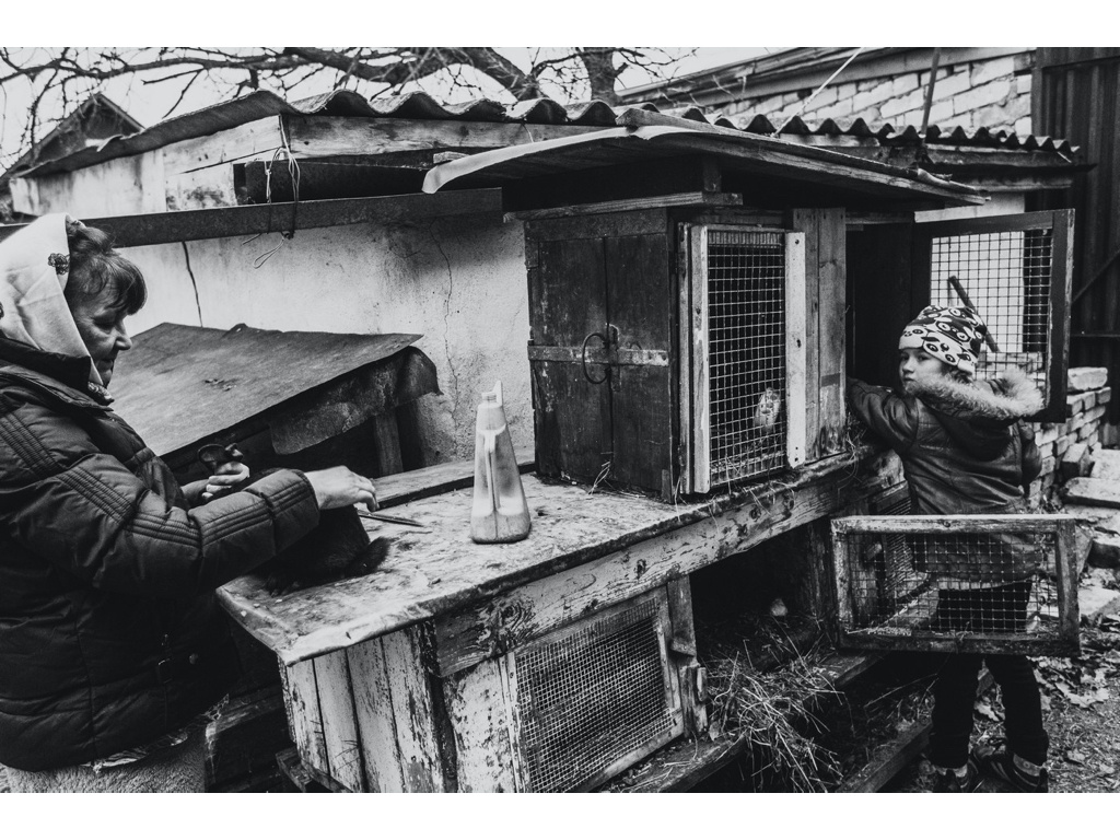 Cremlin Stars. Misha Domozhilov photographer