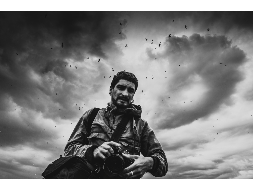 Bird Story. Misha Domozhilov photographer