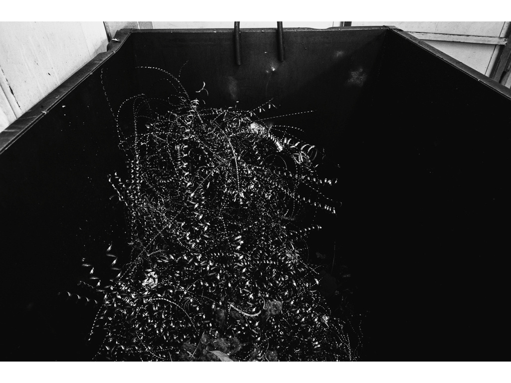 Lev. Misha Domozhilov photographer