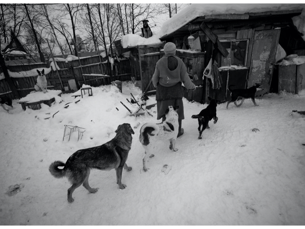 Ark. Misha Domozhilov photographer