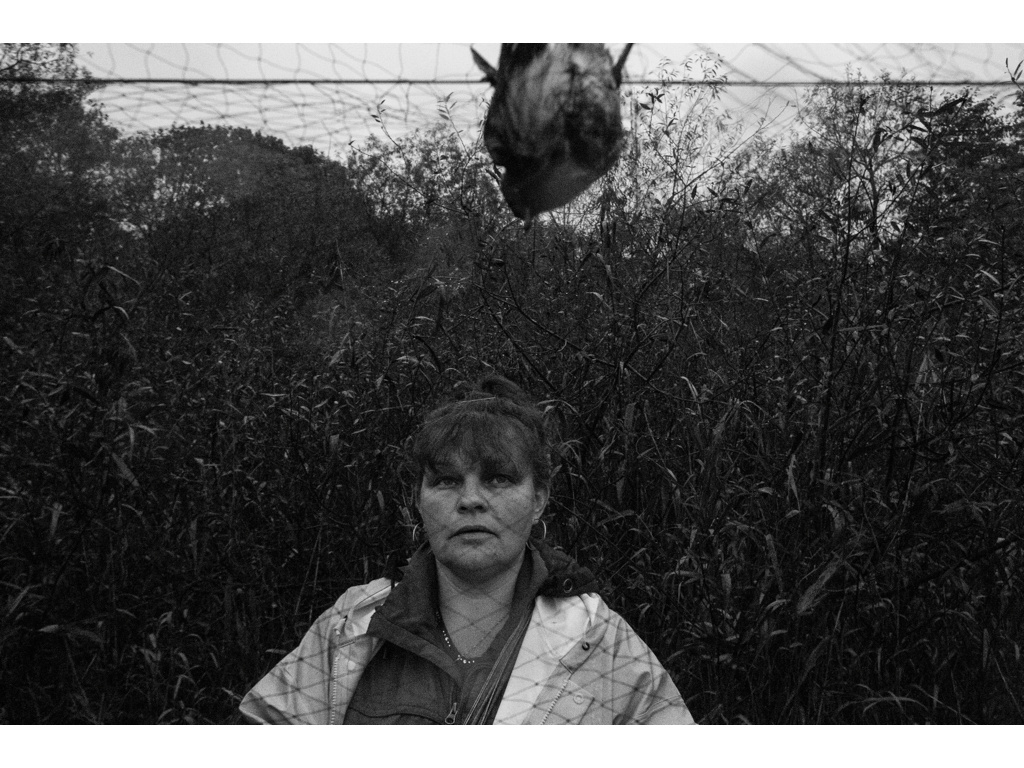 Bird Story. Misha Domozhilov photographer