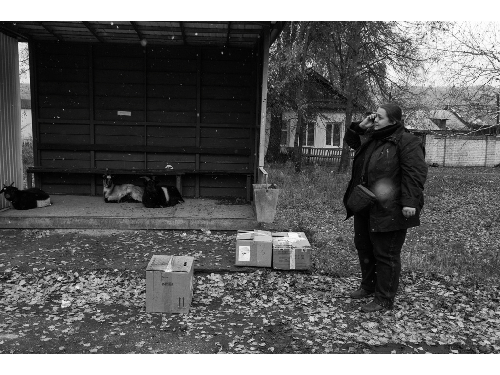 Bird Story. Misha Domozhilov photographer
