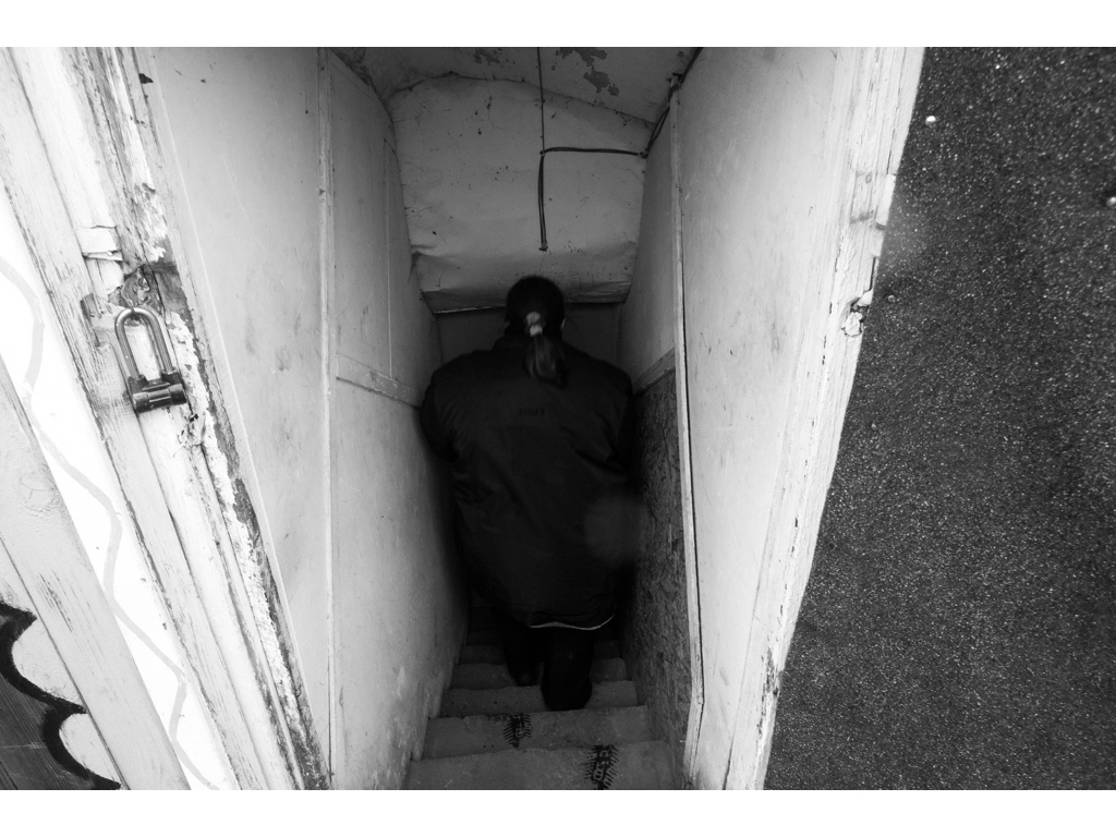 Bird Story. Misha Domozhilov photographer