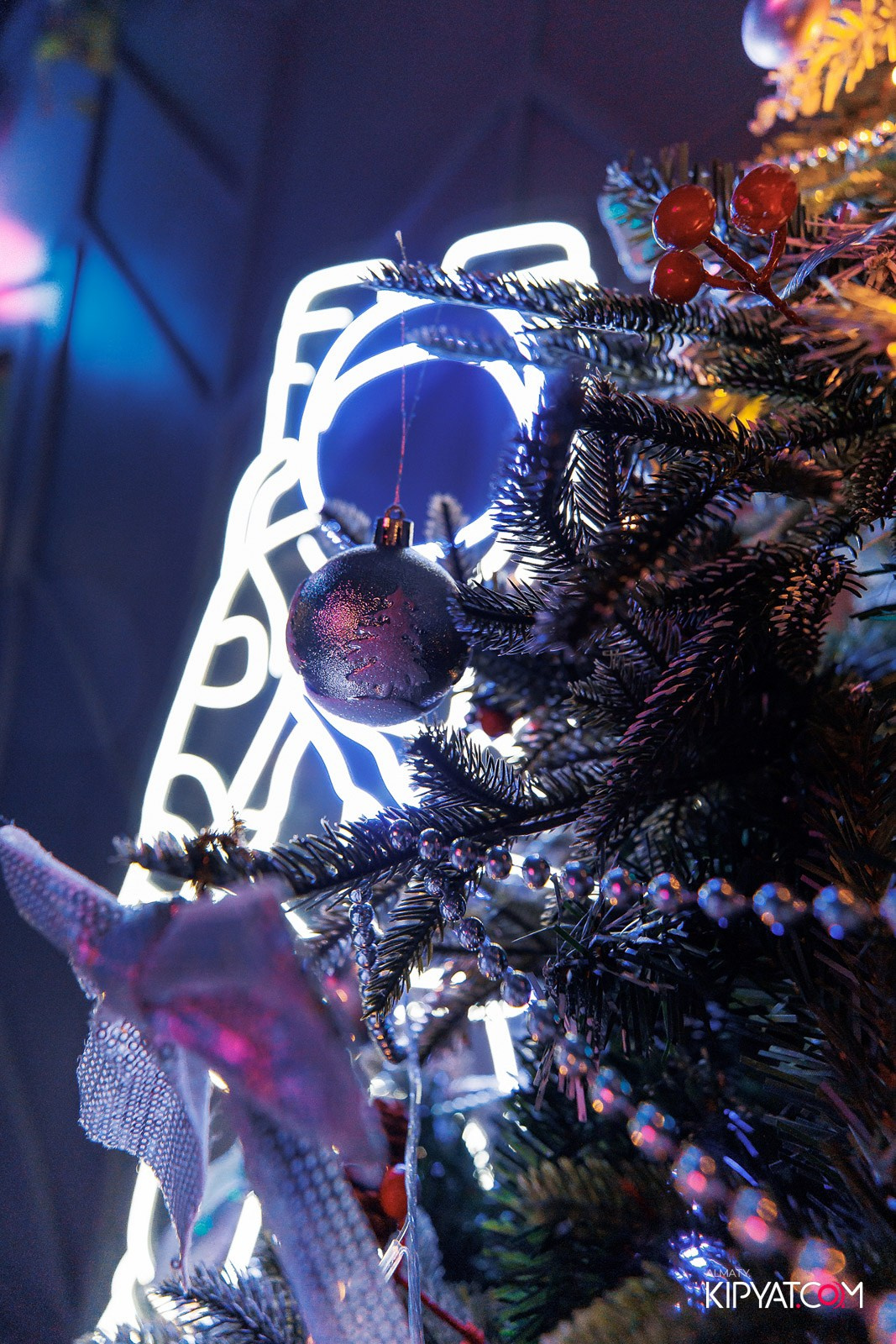 VICE CITY. КИПЯТКОМ АЛМАТЫ! Фотосъемка мероприятий в Алматы