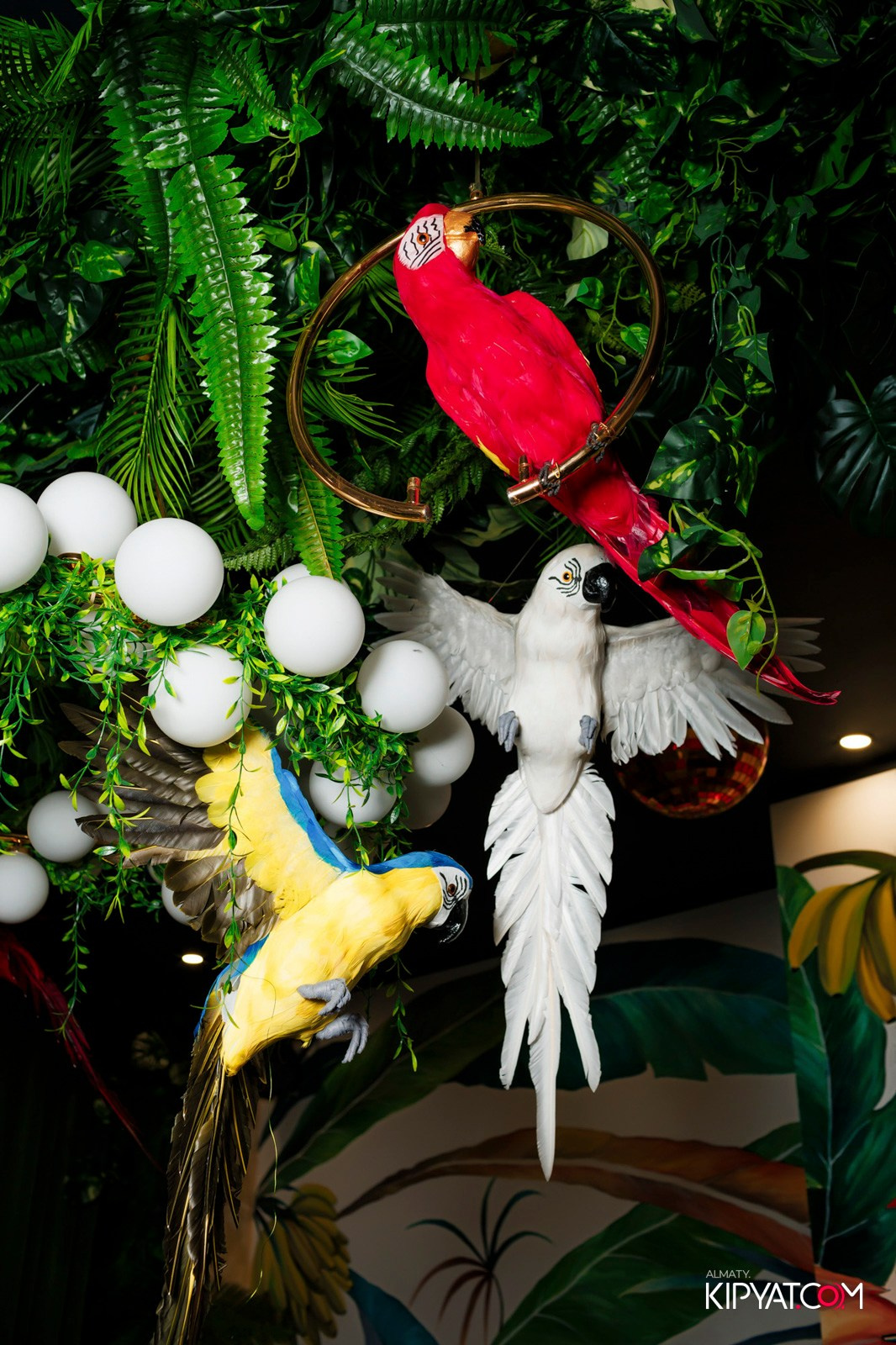 ДОРОГАЯ, Я НЕ ПИЛ. КИПЯТКОМ АЛМАТЫ!