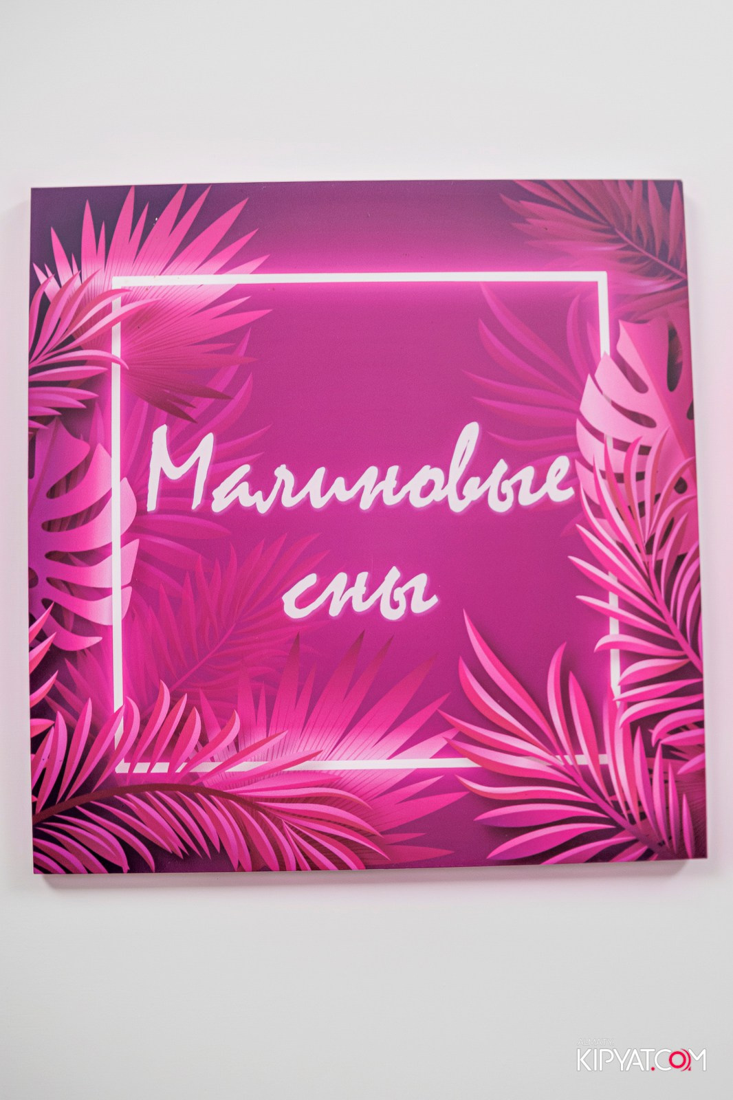 УХО И МЕДВЕДЬ НА ГАГАРИНА. КИПЯТКОМ АЛМАТЫ!