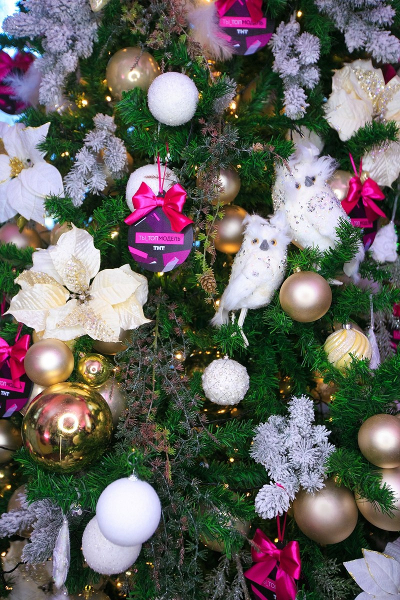 Ты — топ модель. Презентация проекта в Балзи-Росси. Татьяна Фомичева. Репортажный и светский фотограф в Москве