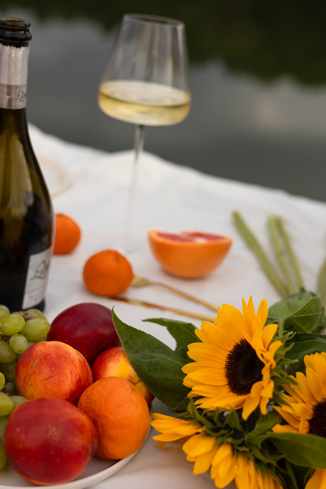 Пикник. Фотограф в Москве и Домодедово Ирина Коростелева