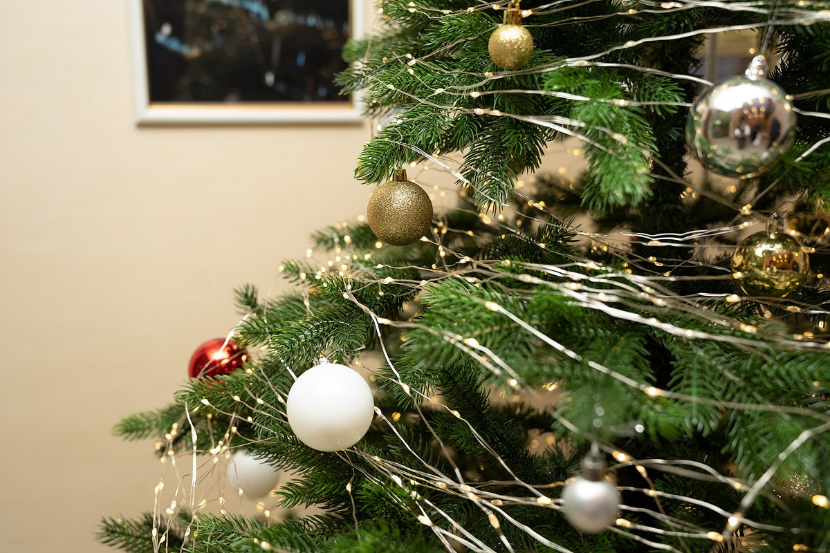 Театр кукол «Бродячая Собачка». Фотограф Мария Ковкова