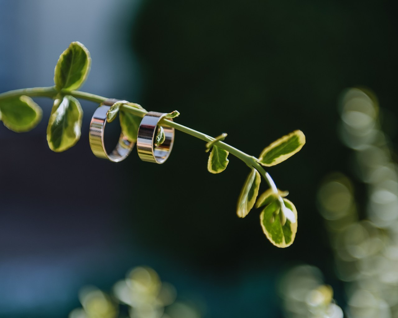 Отзывы. Нежный фотограф Вера Папиж