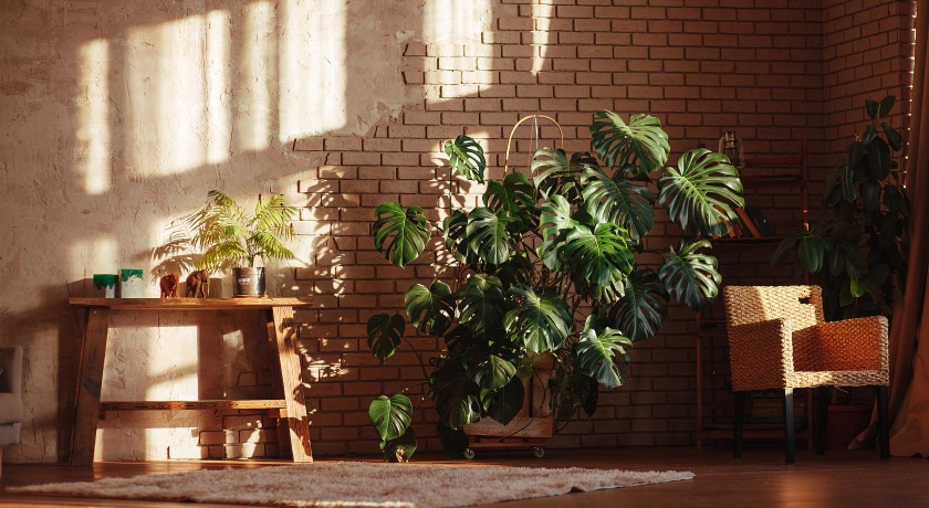 Съемка в фотостудии. Семейный и детский фотограф во Владивостоке Ольга Потылицына