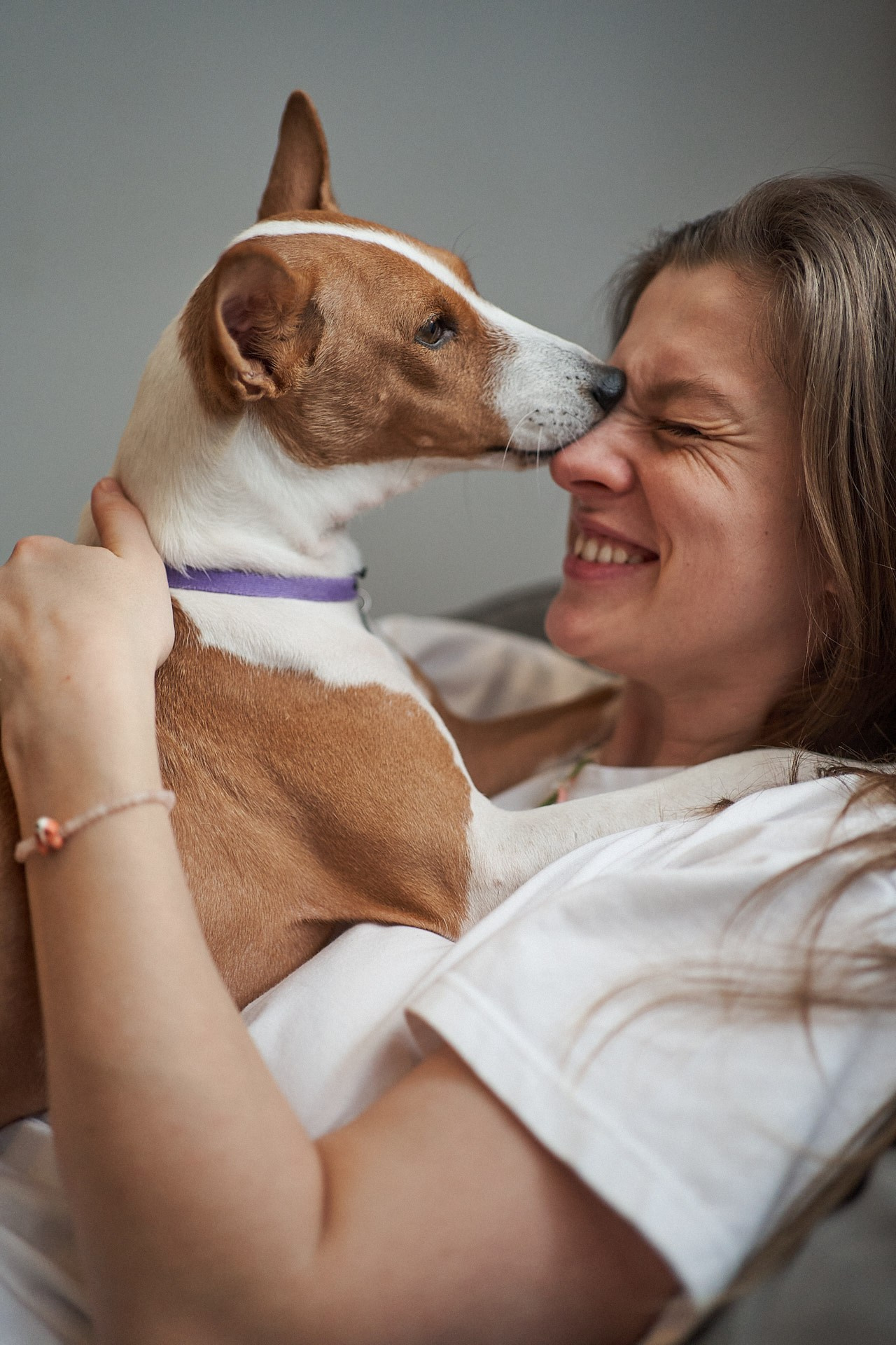 Аня, Майя и Пепси. Фотограф анималист Москва Дарья