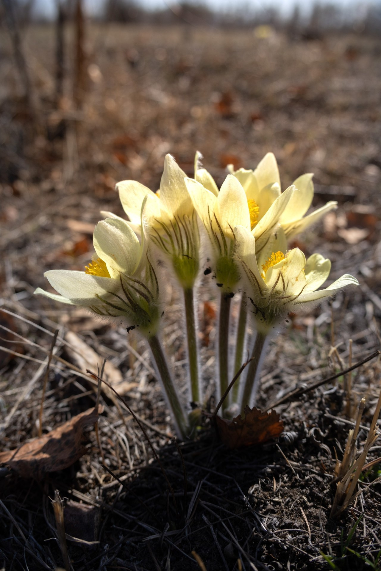 Отзывы. Фотограф Якутск Зоя Николаева