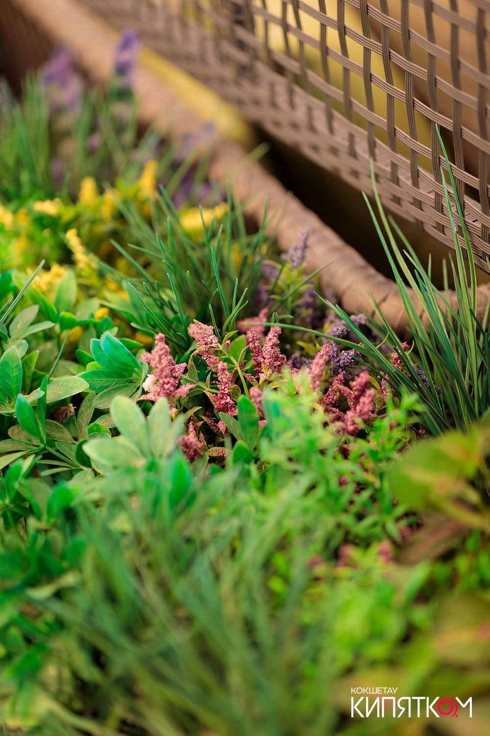 CROSTA. КИПЯТКОМ КОКШЕТАУ