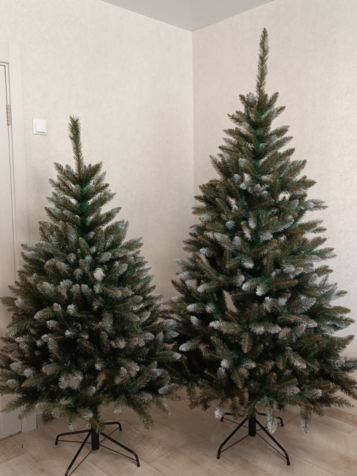 БЕАТРИС. Elki_grodno