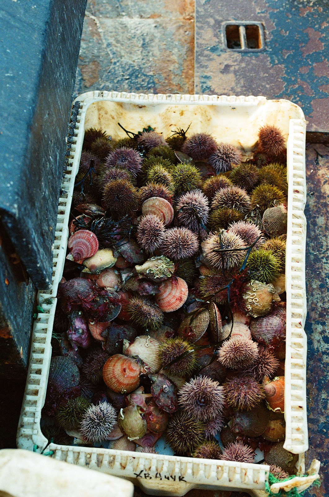 Teriberka (Murmansk). Another person Pavel Potseluev. A photographer in 2025