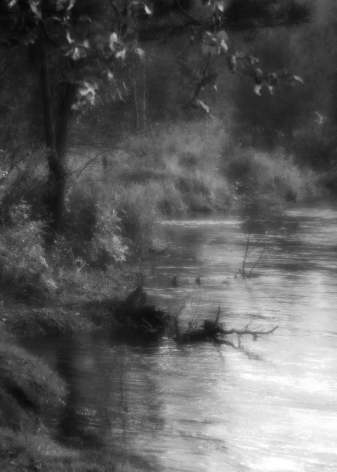 Portfolio. Estetyka