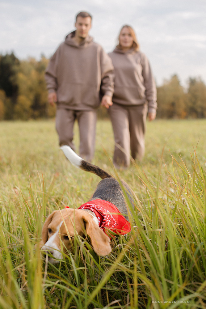 Фотосессия love story. Профессиональный фотограф в Подольске Елена Локтионова
