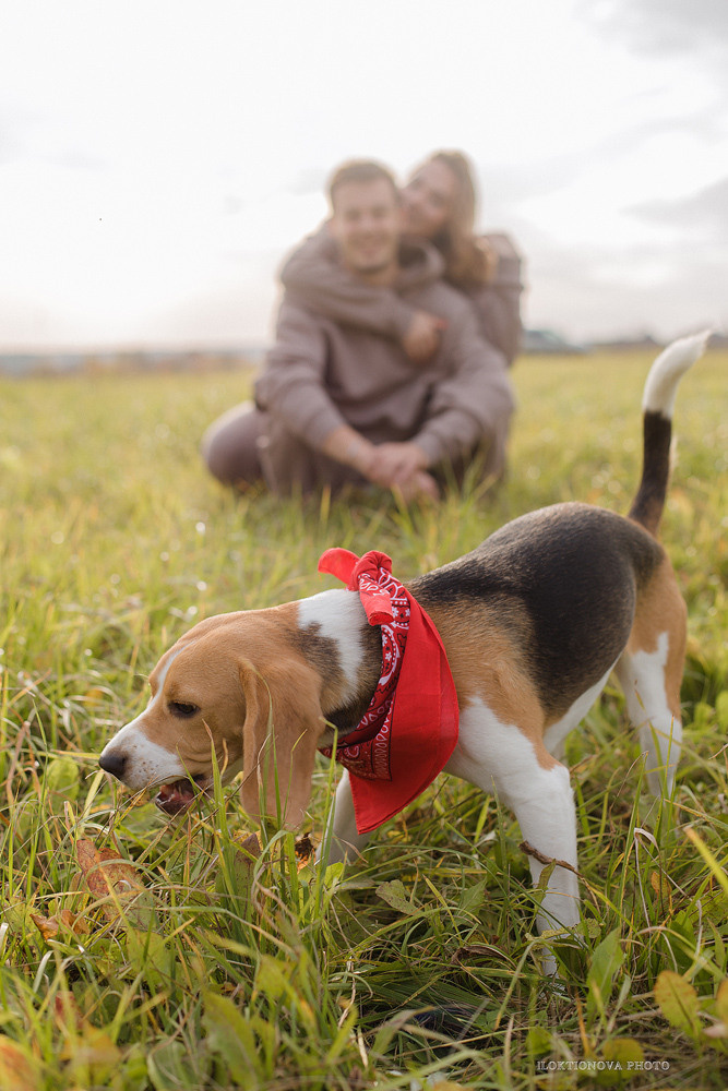 Фотосессия love story. Профессиональный фотограф в Подольске Елена Локтионова