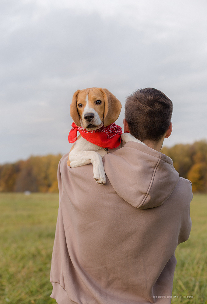 Фотосессия love story. Профессиональный фотограф в Подольске Елена Локтионова