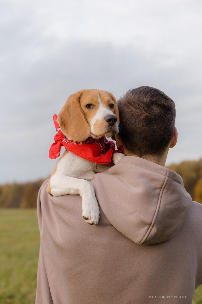 Фотосессия love story. Профессиональный фотограф в Подольске Елена Локтионова