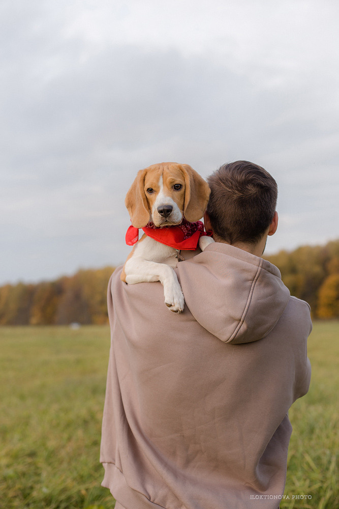 Фотосессия love story. Профессиональный фотограф в Подольске Елена Локтионова