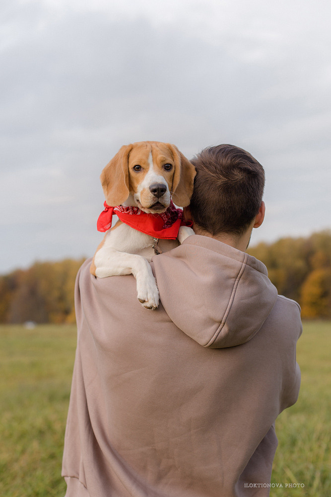 Фотосессия love story. Профессиональный фотограф в Подольске Елена Локтионова