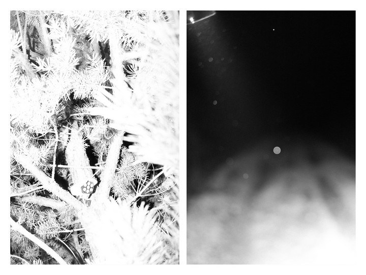 Арт фотограф в Москве, Цуканов Александр