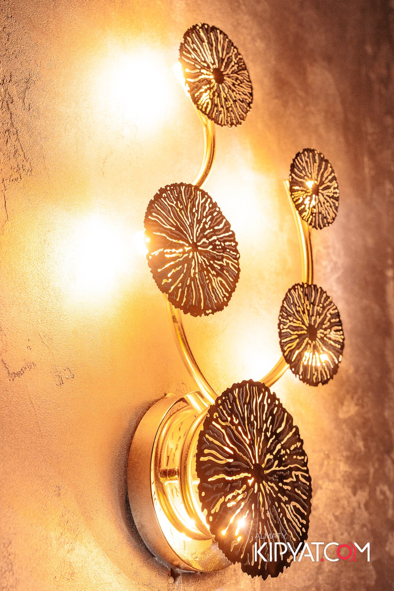 ДОРОГАЯ Я НЕ ПИЛ. КИПЯТКОМ АЛМАТЫ! Фотосъемка мероприятий в Алматы