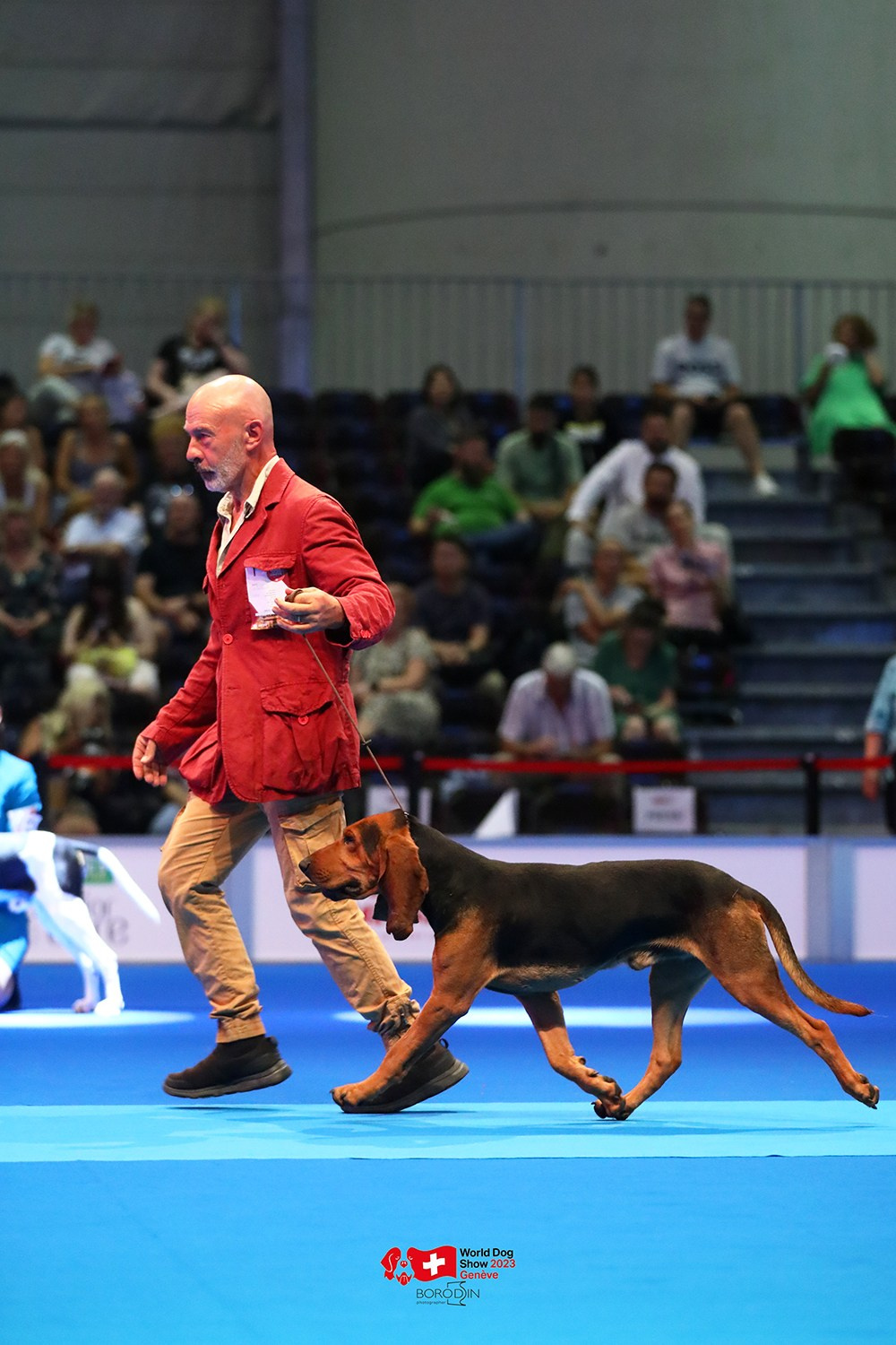 24-27.08.2023 WDS Geneva. Фотограф Дмитрий Бородин