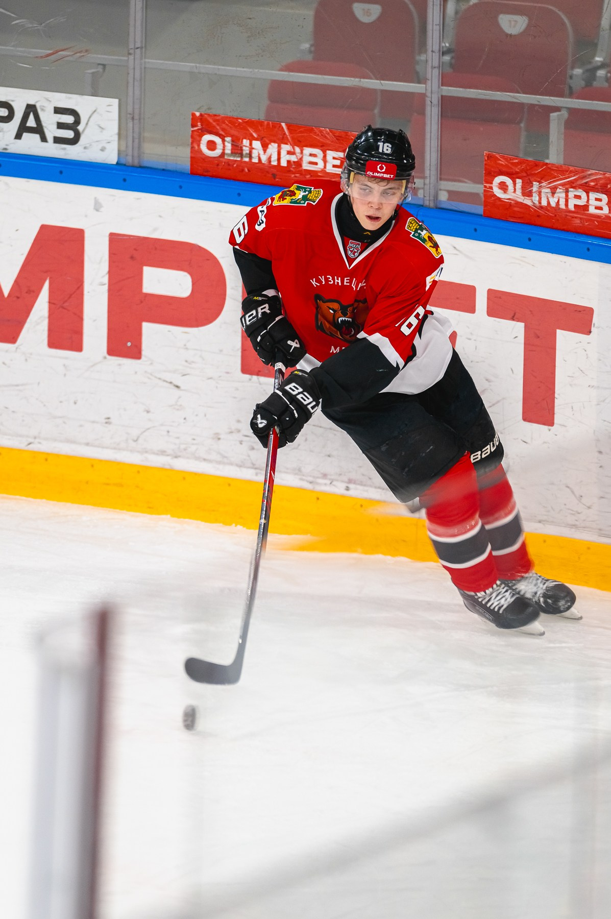 Медведи-Мамонты Югры. ProfotoNK