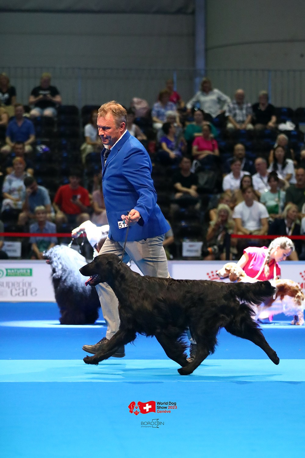 24-27.08.2023 WDS Geneva. Фотограф Дмитрий Бородин