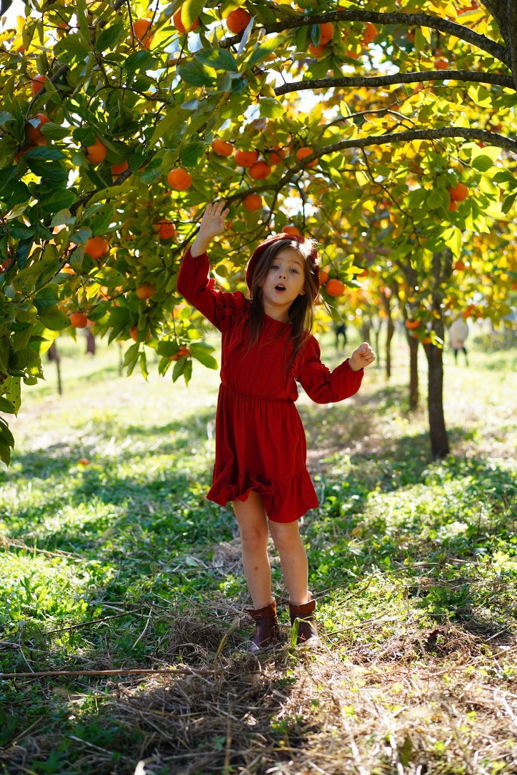 Осенние КРАСКИ. Фотограф Елена — Севастополь, Крым, Москва