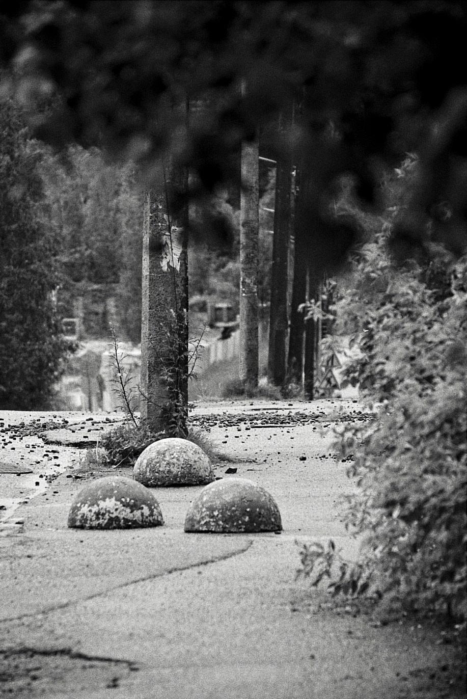 Три бетонные полусферы на растрескавшемся асфальте, на заднем плане — массивные бетонные столбы, частично скрытые листвой; чёрно-белая фотография.