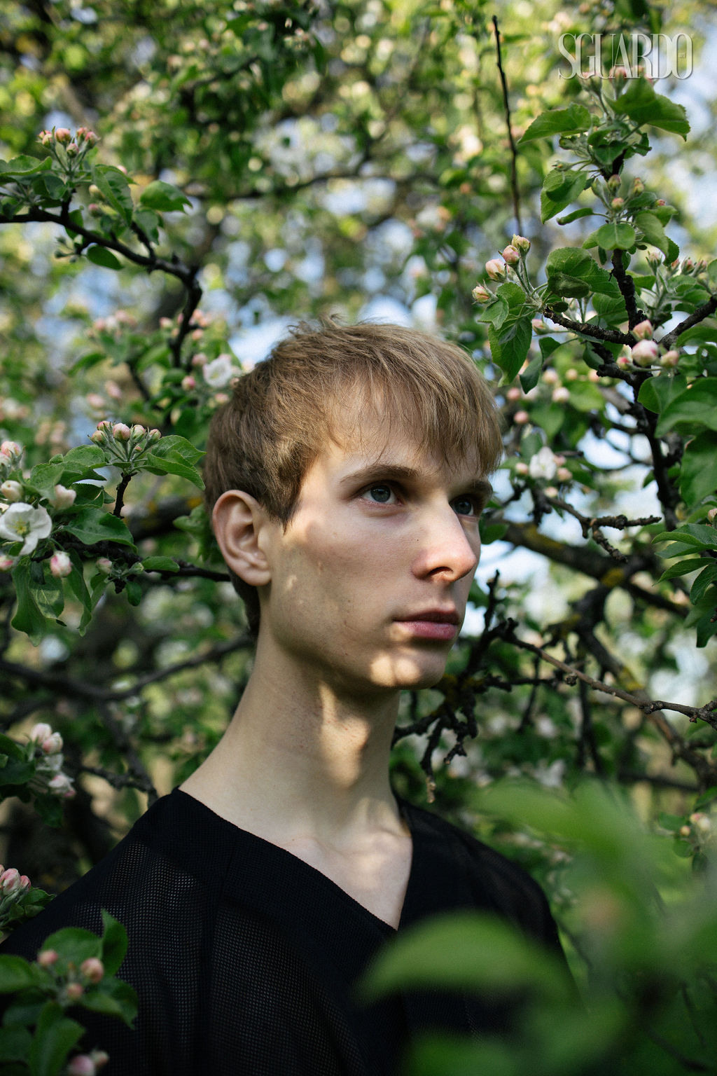 Sguardo. Ангелина Богданова, междисциплинарная художница