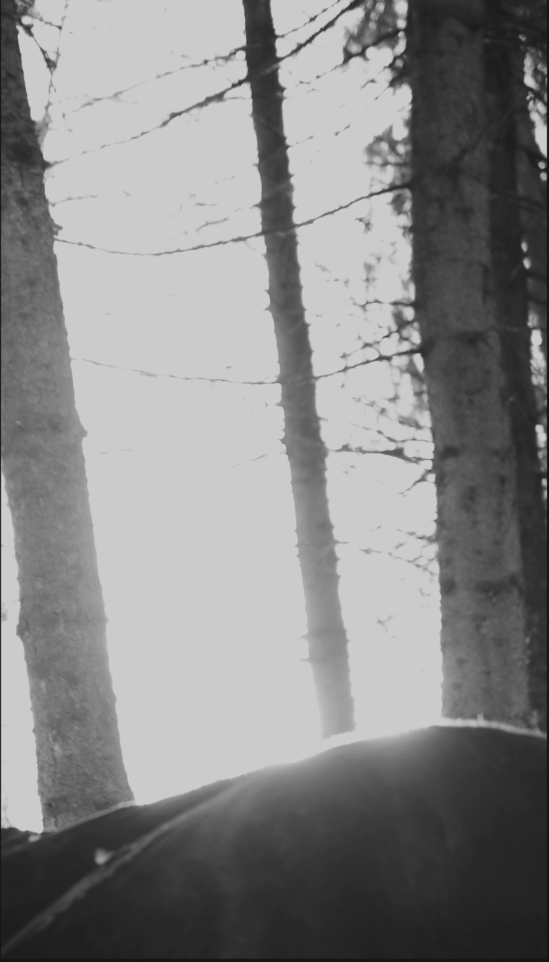 Ничего не было видно и приходилось прислушиваться. Художественная группа «Нежные Бабы»