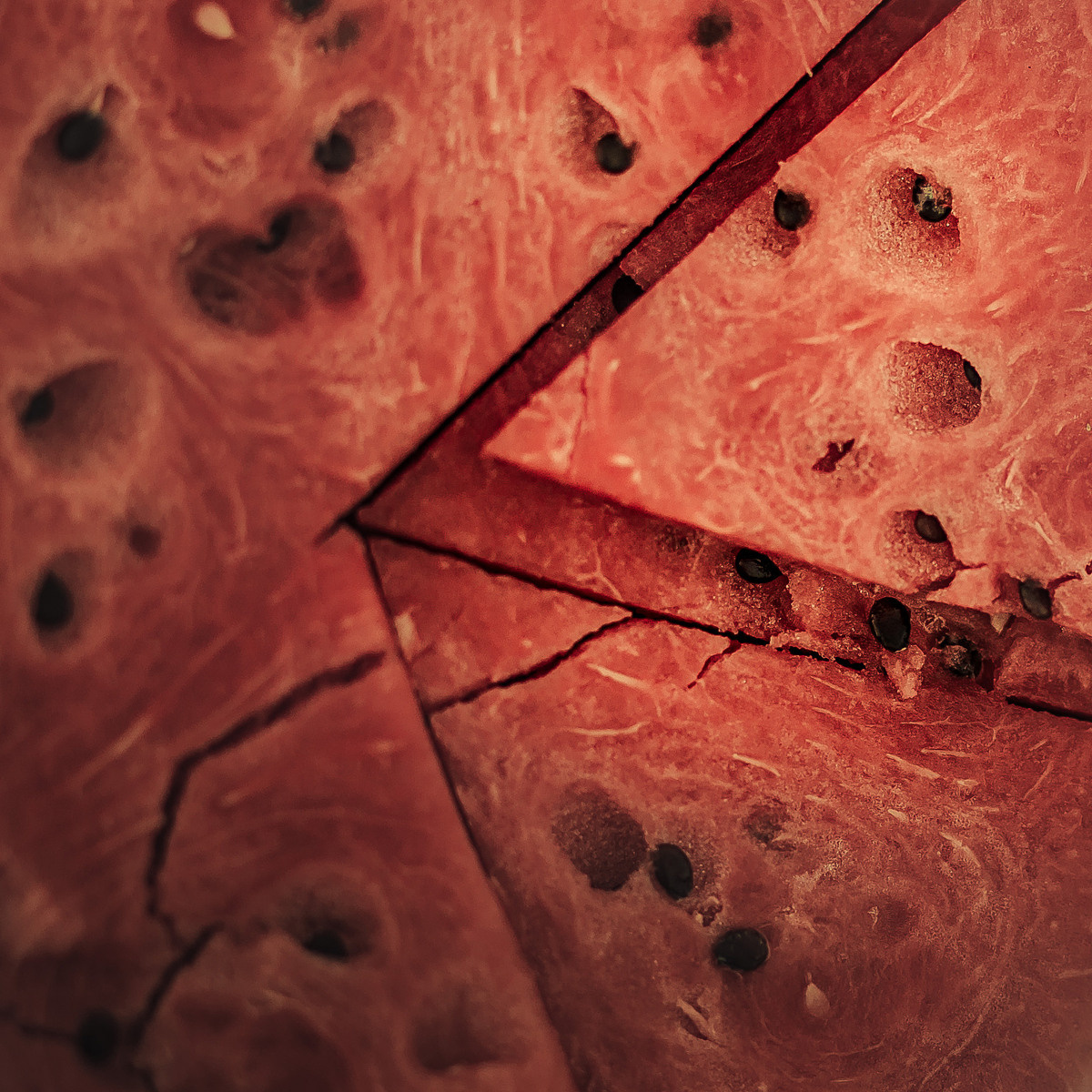 Тарас и Алеся. Вечерняя прогулка. Семейный, детский, свадебный фотограф по всей РБ Валера Михневич