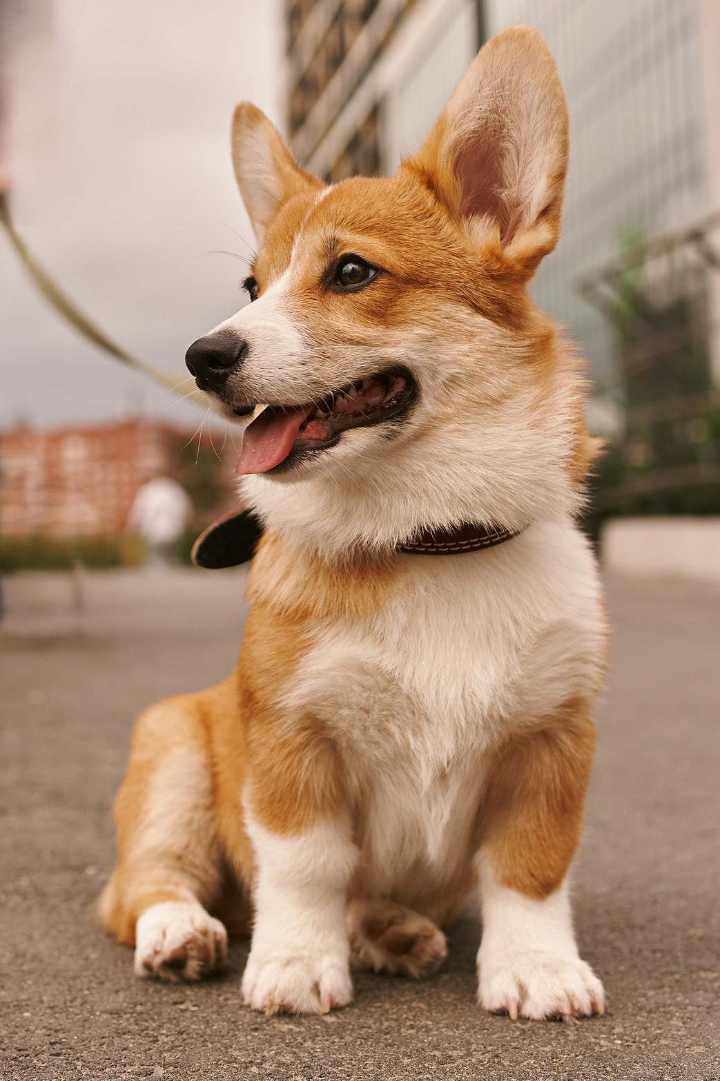 Екатеринбург (Клевер-парк). Свадебный фотограф Наталья Помазкина | Репортаж Екатеринбург Москва