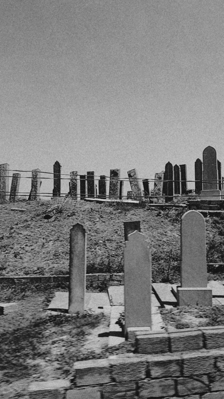 Дагестан. Чечня. 2024. Фотограф в Нижнем Новгороде