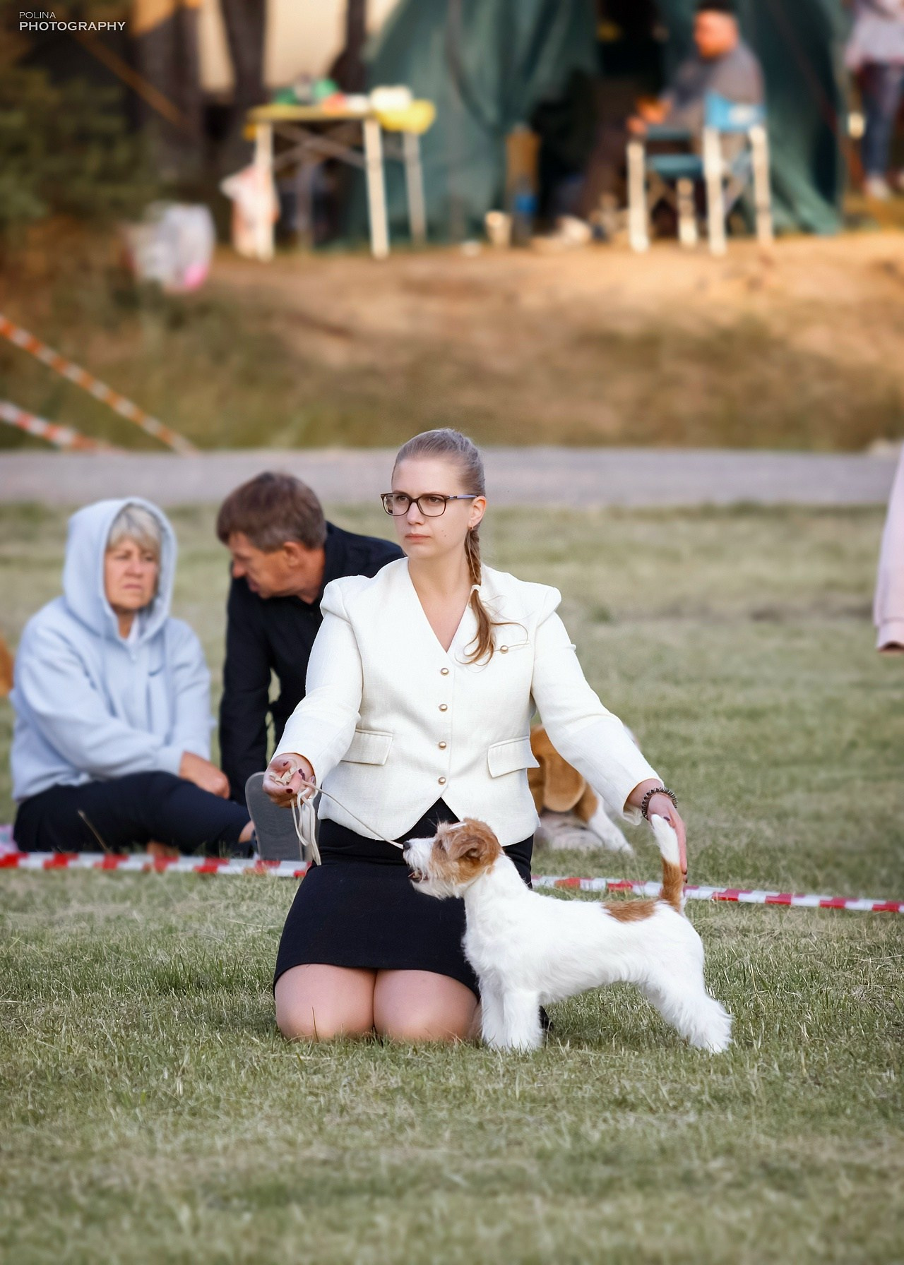 LOVELY-ORANGE JACKPOT. Lovely-Orange питомник джек рассел терьеров